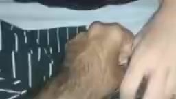 Pakistani girl big boobs aur honeymoon ki sex video